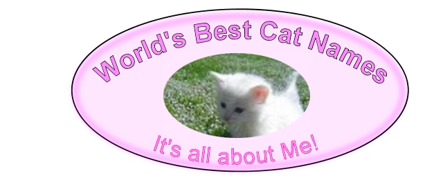 unique cat names logo